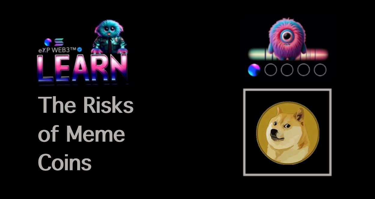 Article Title: The Risks of Meme Coins